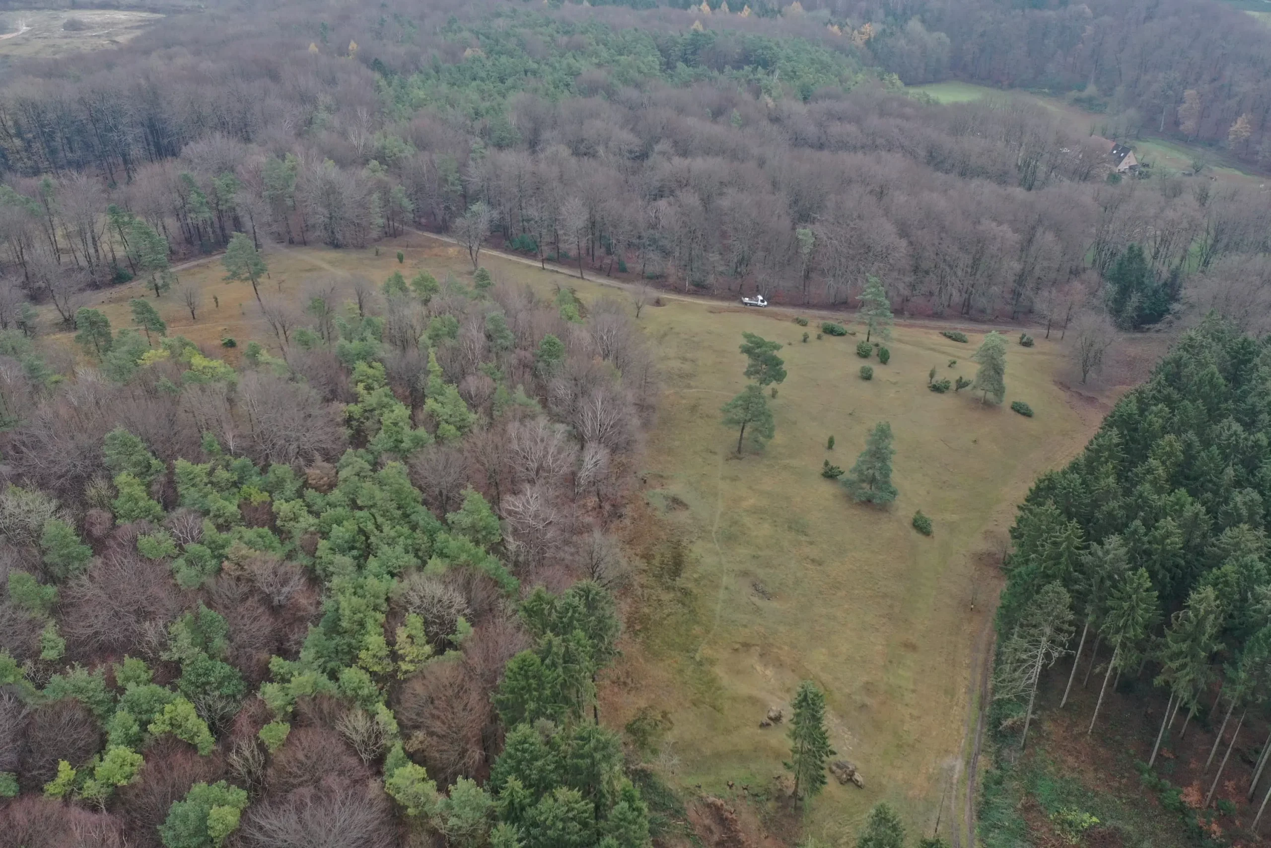 Silberberg schützen – Magerrasen, Buchenwälder und Fledermäuse im Einklang entwickeln