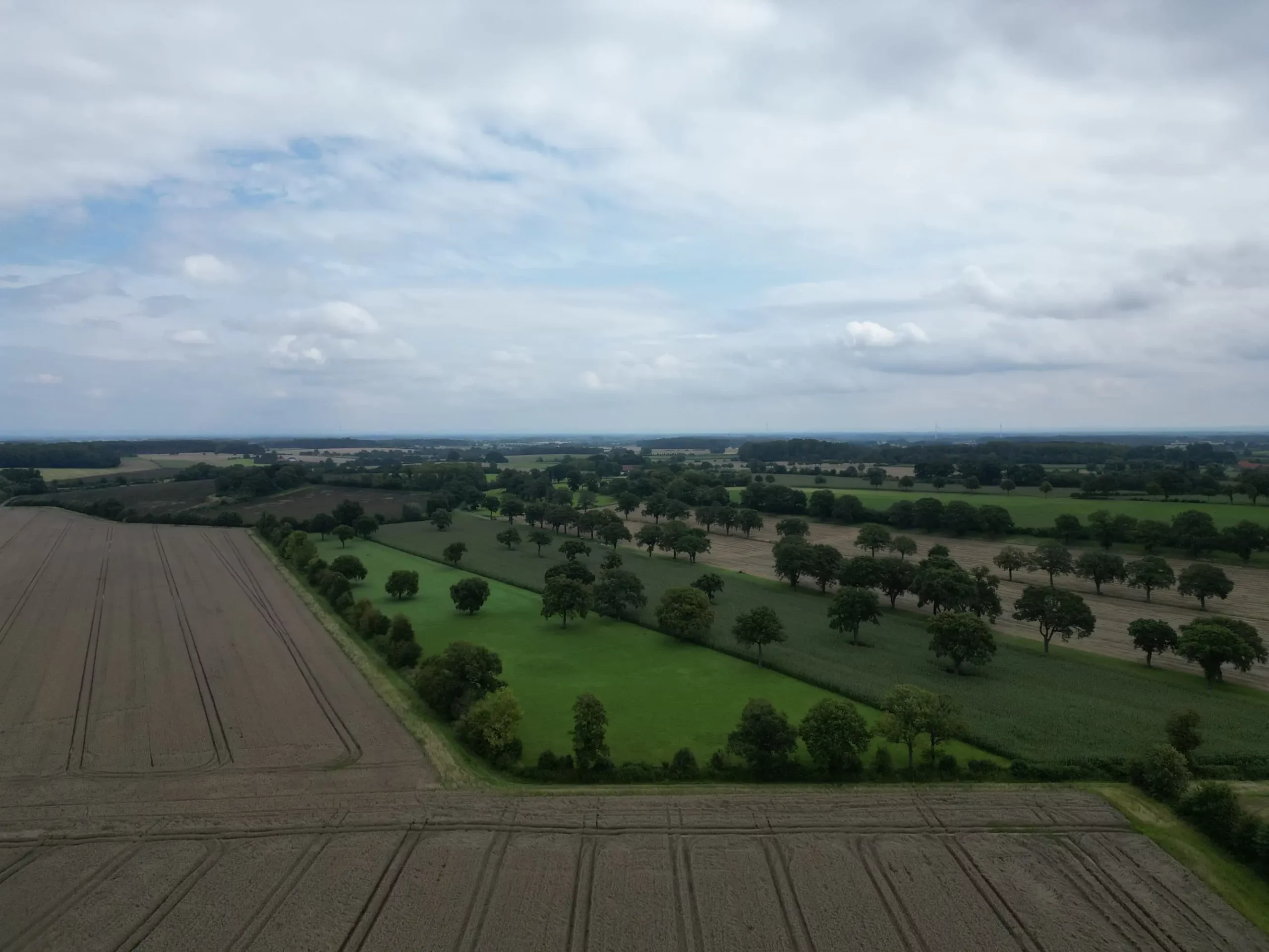Biotopverbund für Lemgo stärken – Ausgleichsflächen für Natur und Landschaft